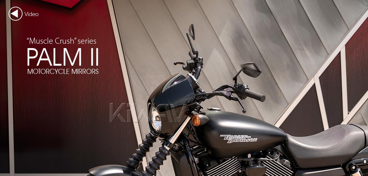 KiWAV motorcycle mirrors PalmII black for Harley Davidson Street 500/750